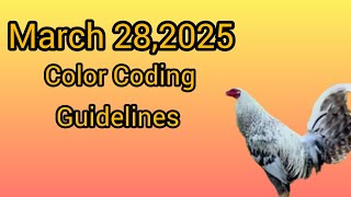March 28,2025 Color Coding Guidelines.