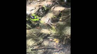 IMG 4950 2