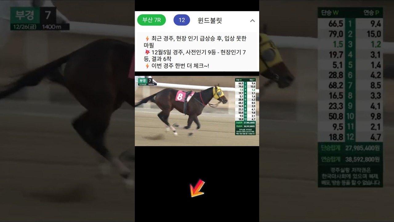 부산 배당마가 790배 폭탄 배당을~👌경마예상🐎유전적 스피드 타입🐎다크호스경마💕경마🎈경마장🐎금요경마😊경마방송👌경마예상방송🫏경마하일아이트🥎경마예상 실시간🚩경마예상가🏐경마정보⚾경마공원