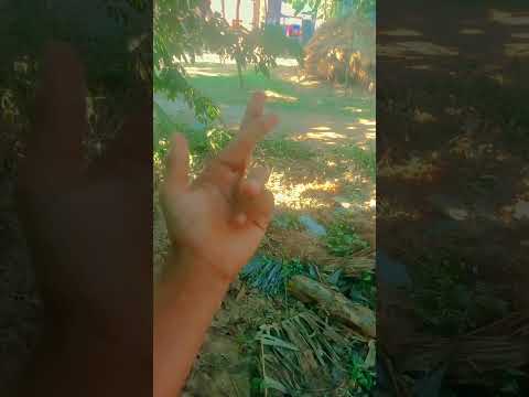 Lifeisbutadream Whowillbemylifepartnerta