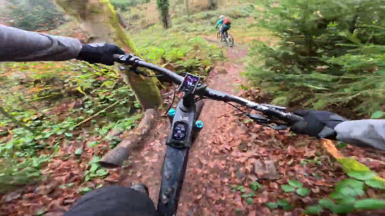 Eggberg Trail – Primera etapa con Snail Trails 🚵🔥 - Primera bajada