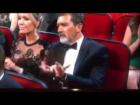 رياكشن تصفيق جمهور