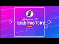 Mon intro  dibsfactory