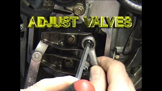 Lawn Mower Repair Valve Adjustment VTwin Briggs