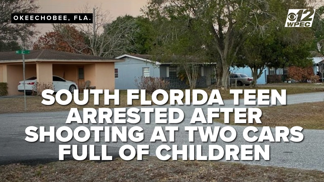 Florida teen accused of shooting at two cars full of children in ...