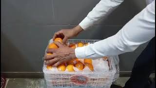 Best quality DFT-MANDARIN best juicy and tasty 😋😋