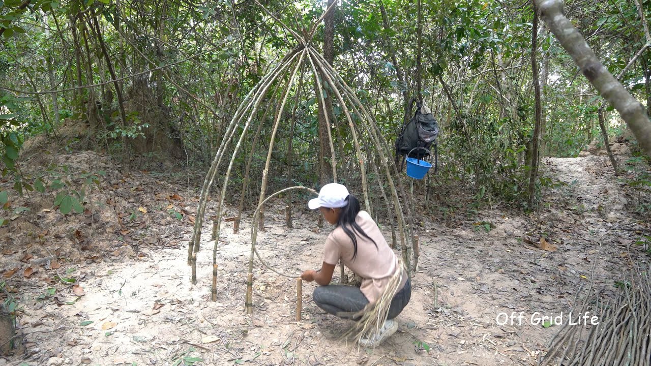 Image showcasing Build a Shelter for Overnight Stay in the Wild, Girl Solo Living Off ...
