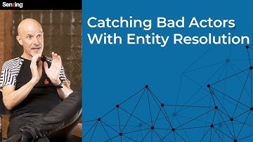 Catching Bad Actors With Entity Resolution