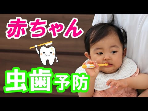 【中古】 赤ちゃんからの健康育歯学 虫歯のない、歯並びのきれいな子に/主婦の友社/吉原正彦 中古】 赤ちゃんからの健康育歯学 虫歯のない、歯並びのきれいな