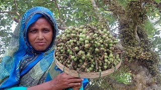 FARM FRESH Fig Recipe !! Healthy Cooking DUMUR & TAKI Mach Vorta | Cutting & Cooking Green Fig Fruit