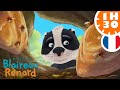 Ref:_7PWNMWbbJ4   glouton a peur des abeilles ! la famille blaireau-renard compilation fr