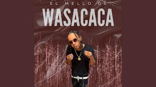 Wasacaca
