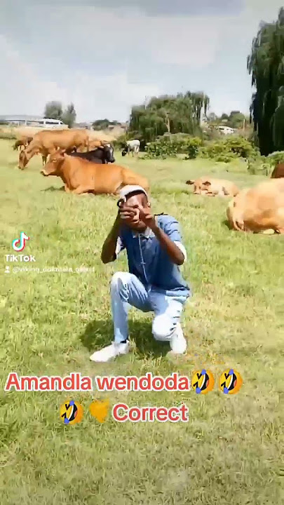 Amandla wendoda uyay'bamba inombolo 🤣🤣🤣🤣🤣🤙Correct