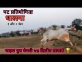 पट प्रतियोगिता धालना १ आणि २ नंबर कोण झाला विजय बघा😱||#bailgadasharyat #bailgada 