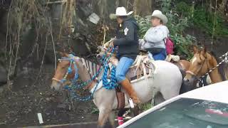 Peregrinación de Santa María Nativitas a Chalma 2025 a caballo...