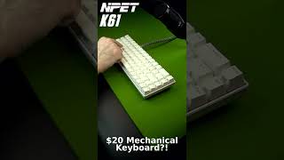 $20 Mechanical Keyboard Sound Test #shorts