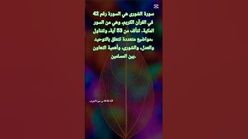 سورة الشورى، #قرآن #اكسبلور #القزابري #تيك_توك #المصحف #لايك #الرحمن #bhfyp #دويتو#duet #funny #fyp