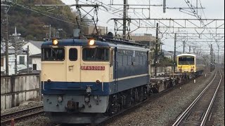 【5504F 大場出場甲種輸送】国鉄EF65形2083号機+コキ3両+伊豆箱根鉄道5000系5504編成(イエロー シャイニング•トレイン)が大磯駅を通過するシーン (9862レ) 20263/26