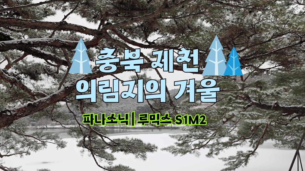 [충북 제천 '의림지'] 파나소닉 루믹스 S1M2, 겨울을 담아보다.