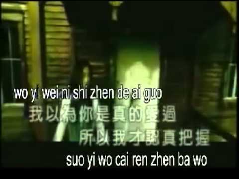 pinyin不要用我的愛來傷害我bu yao yong wo de ai lai shang hai wo avi