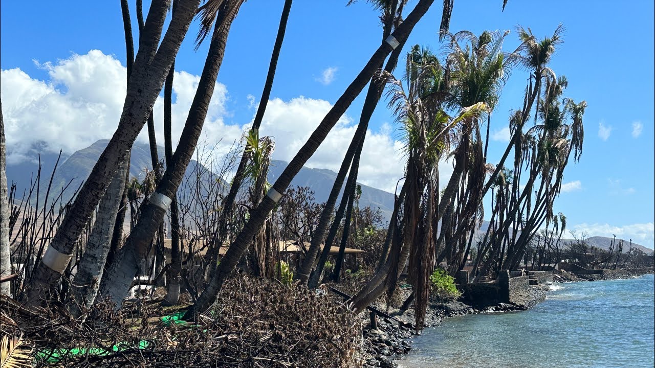 What does baby beach on maui look like today lahaina fire update