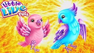 Игрушки для детей животные литл лайв петс интерактивные Игрушки для детей животные литл лайв петс интерактивные