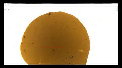 Nanoparticle Morphology Analysis Demo