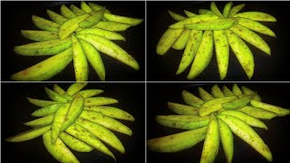 Kacha Amm Bhortaaam Vortaraw Green Mango Masalaকচ আম মখGreen Mango Chaat Recipeaam Makha