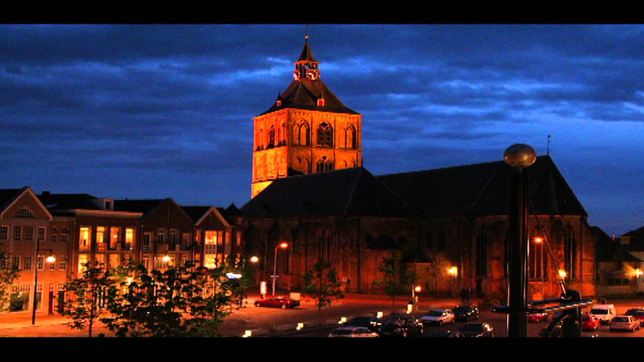 Oldenzaal Plechelmusbasiliek Volgelui.mpg