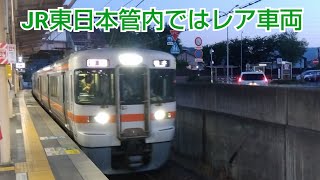 【JR東日本管内では数少ない転クロ車】313系篠ノ井線走行音