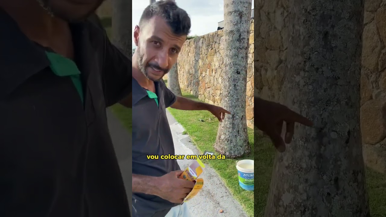 Como eliminar as lagartas da palmeira 