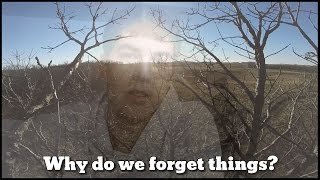Why do we forget things while high? (Theory & Adventure)