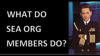 What do Sea Org Members Do All Day?