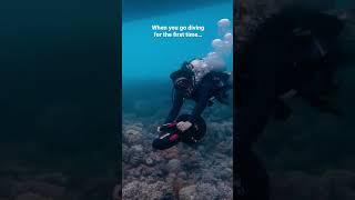 Celebrity When you go diving for the first time… 🤯 Wealth