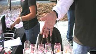 Macchia Winery Welcomes you