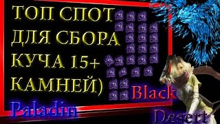 Black Desert #23 Топ Спот для прокачки Сбора БДО