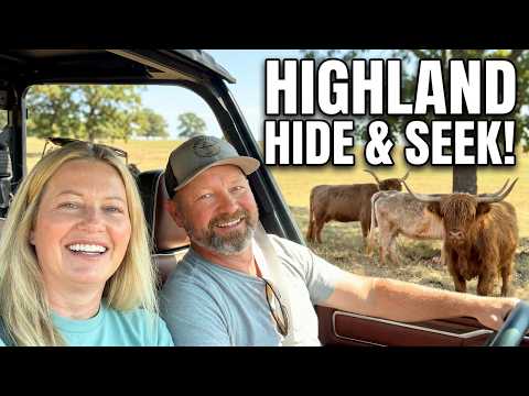 Exploring our Land as we Play Highland Hide and Seek! #homestead #tour #ranchlife