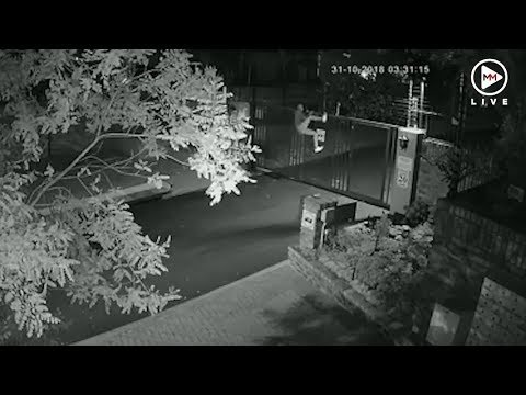 Not even electric fencing could stop this thief from breaking in