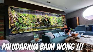 KONDISI TERKINI PALUDARIUM BAIM WONG UDAH KAYA LUKISAN 3D GOKIL !!!!!