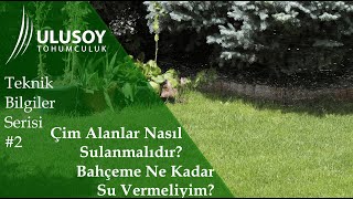 Çim Alanlar Nasıl Sulanmalı? Teknik Bilgiler Serisi #2