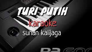 TURI PUTIH - Sunan Kalijaga ( Karaoke + Lirik )