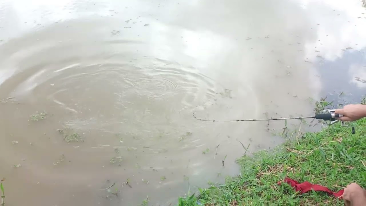 pesca fechada bora pesqueiro