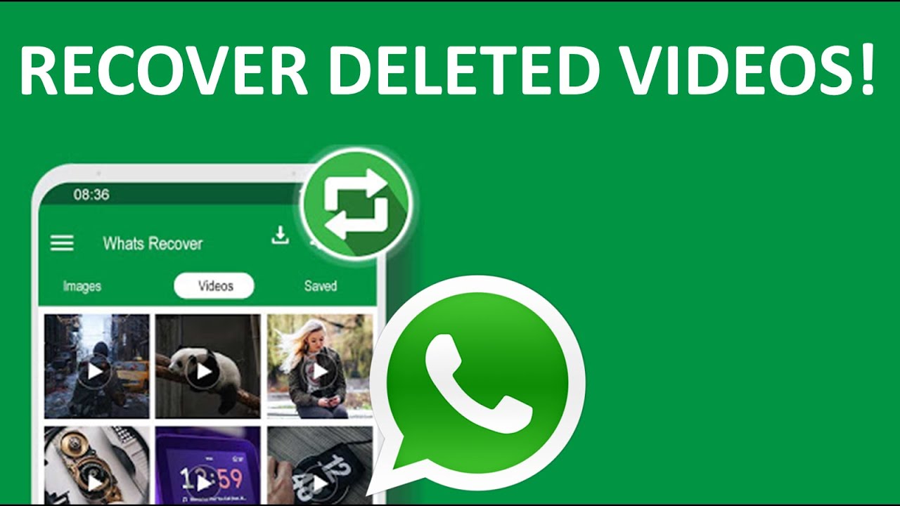 Recover Deleted Whatsapp Videos Recover Restore Deleted Videos From recover-deleted-whatsapp-videos-recover-restore-deleted-videos-from