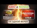 Майнинг на AMD и NVIDIA одновременно на одной ферме. Можно ли?