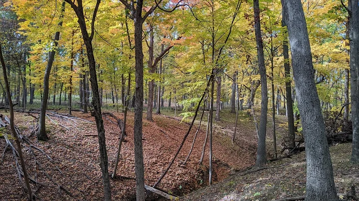 Bachelors Grove Cemetery - The Crandall Brothers