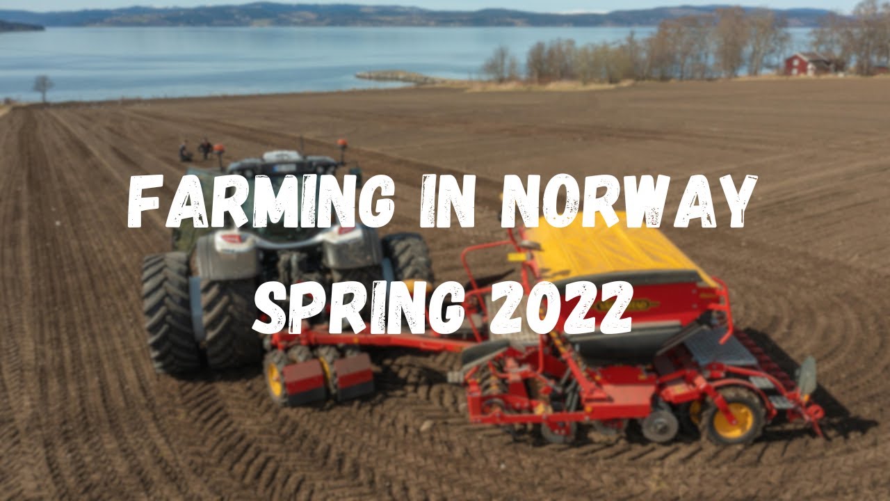 Farming in Norway | våronn | Rustgården - Trøndelag 2022