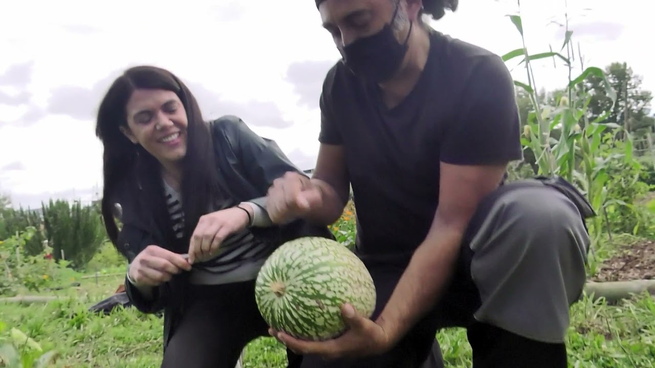 06 Cabello de angel y Calabazas de Andrés
