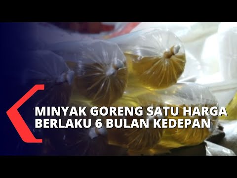 Video: Apa yang berlaku plugin lakukan secara bertahap?