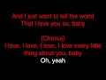 Stevie Wonder Karaoke - I Love Every Little Thing About You (Karaoke)