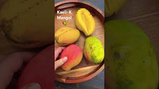 Meet ‘Kaeli-K’ Mango! 🥭 #mangoseason #mango #florida #familyfarm